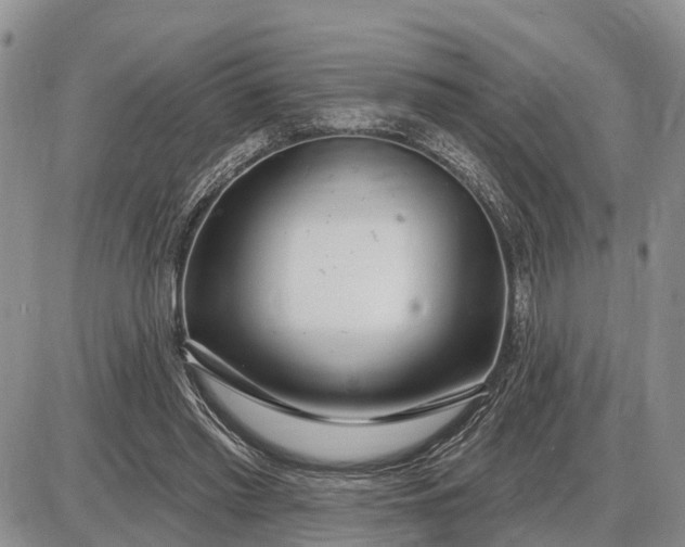 X0000085020397200703191147