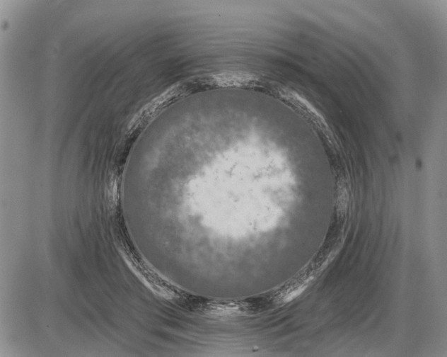 X0000085020405200703191147