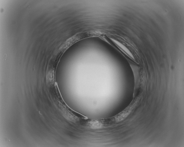 X0000085020425200703191146
