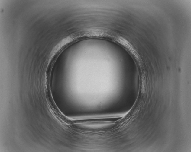X0000085020439200703191145