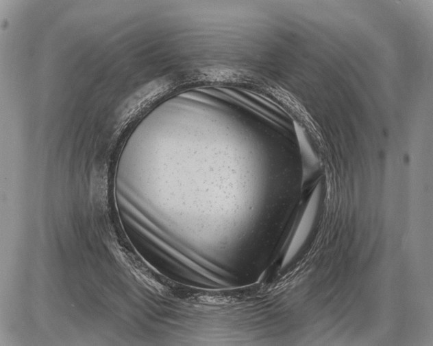 X0000085020442200703191145