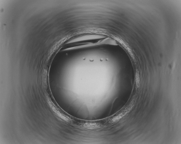 X0000085020445200703191145