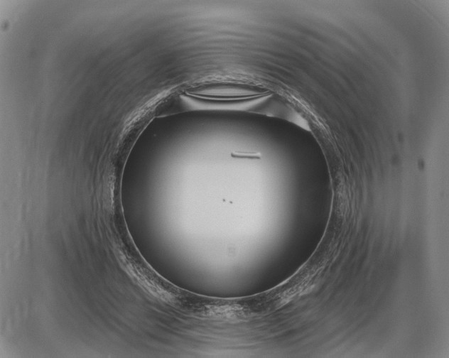 X0000085020446200703191145