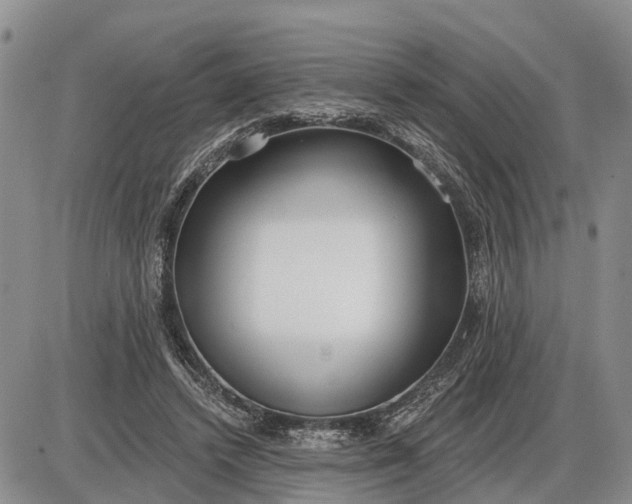 X0000085020448200703191146