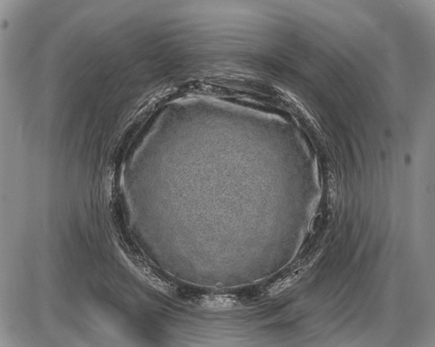 X0000085020451200703191146