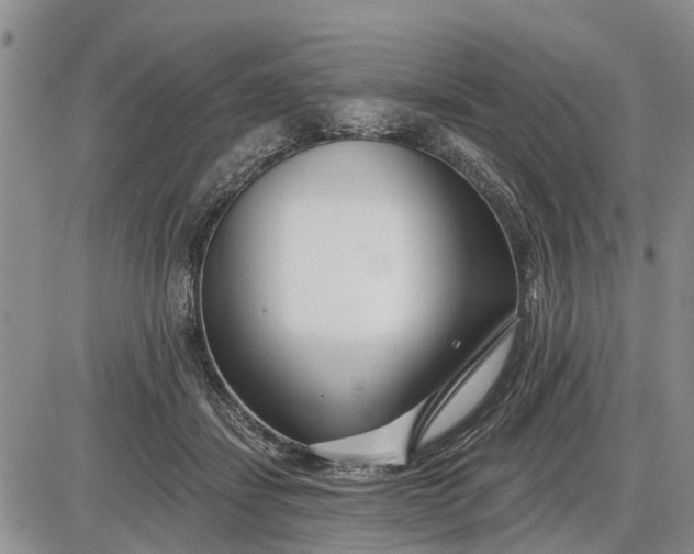 X0000085020459200703191146