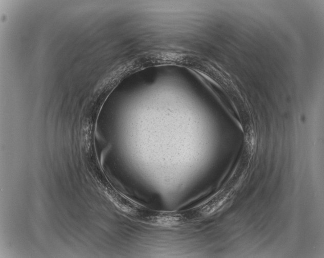 X0000085020462200703191146