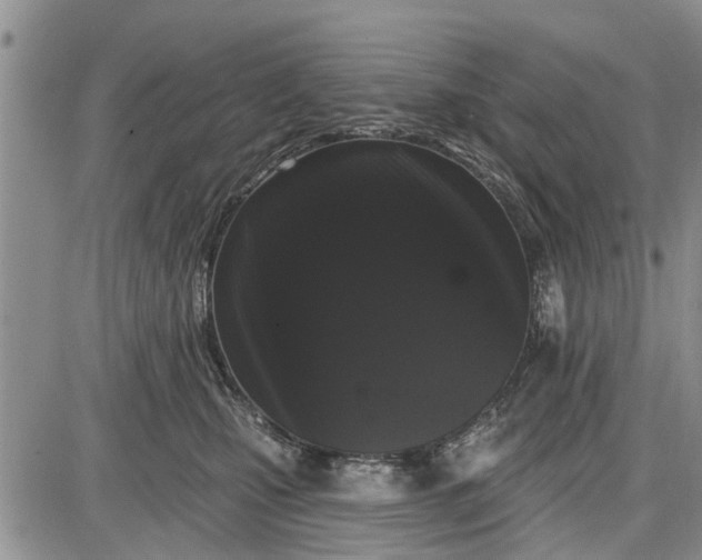 X0000085020471200703191146