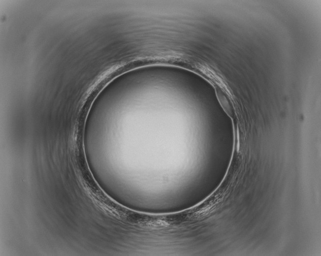 X0000085020483200703191145