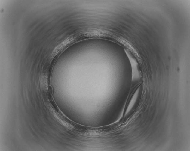 X0000085020489200703191145