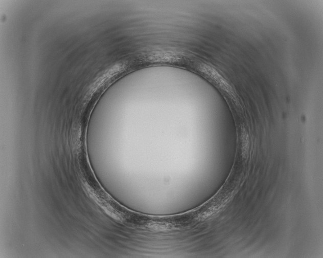 X0000085020490200703191145