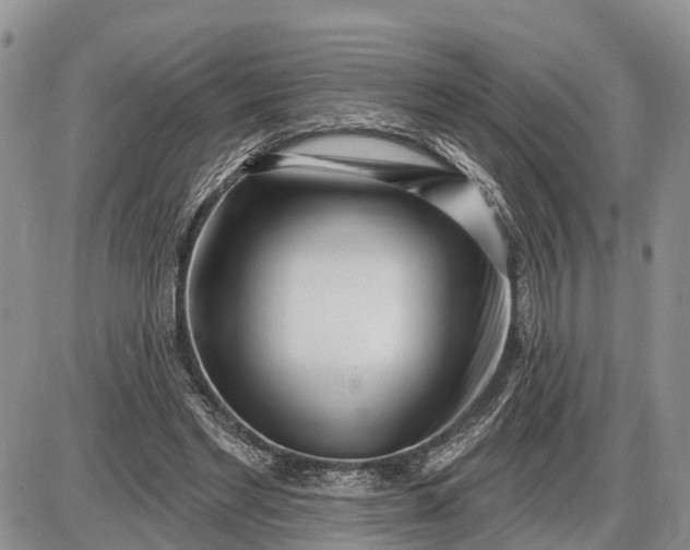 X0000085020493200703191145