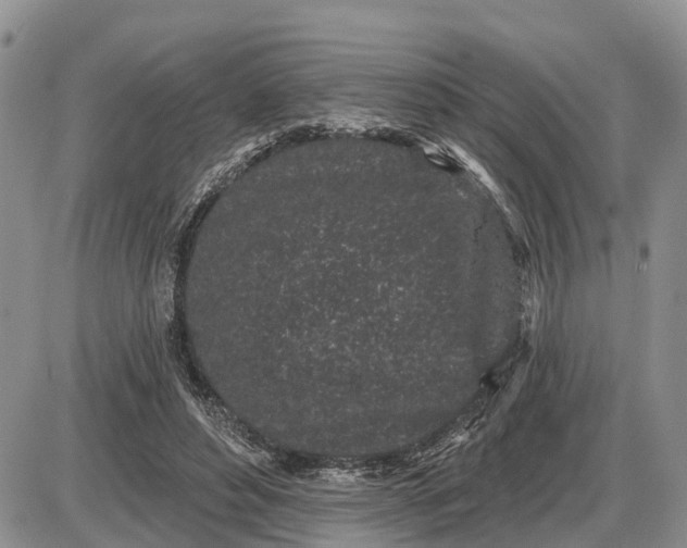 X0000085020496200703191145