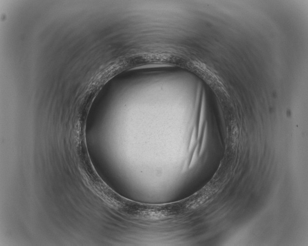 X0000085020498200703191145