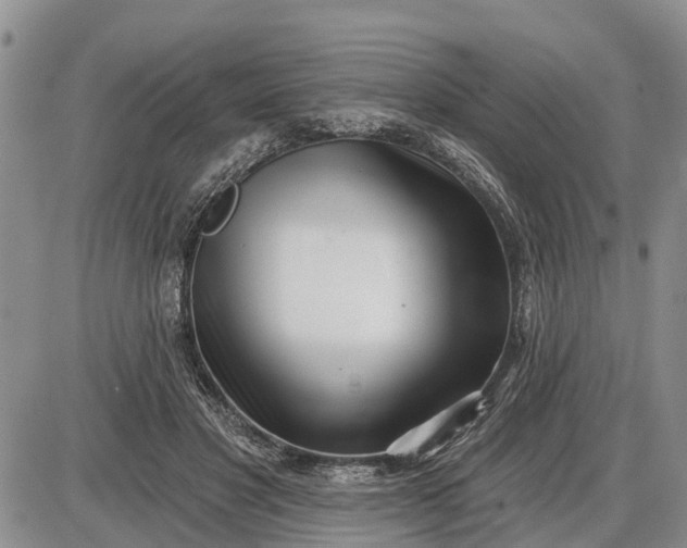 X0000085020501200703191145