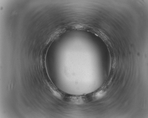 X0000085020524200703191145