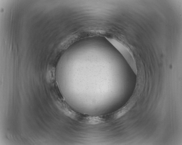 X0000085020528200703191144