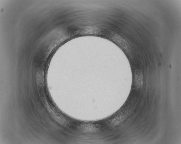 X0000085020534200703191144