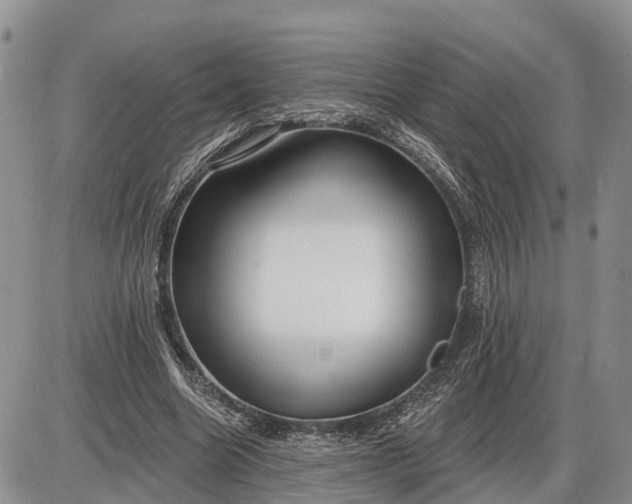 X0000085020538200703191144