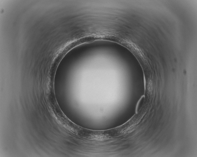 X0000085020540200703191144