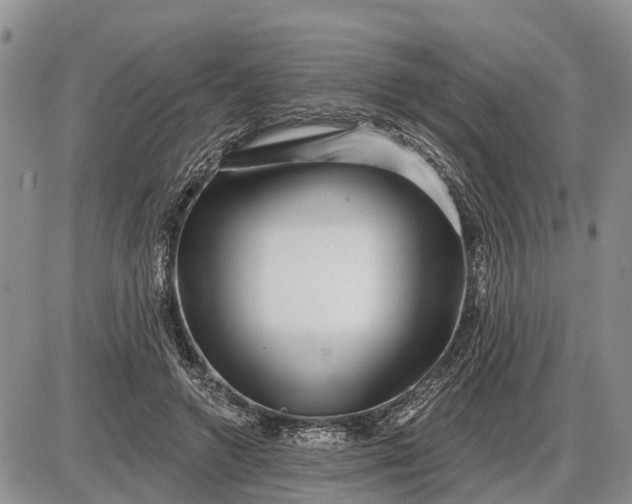 X0000085020546200703191144
