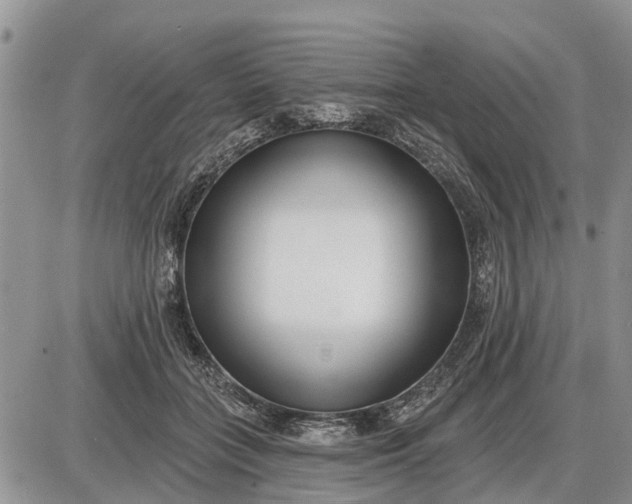 X0000085020555200703191144