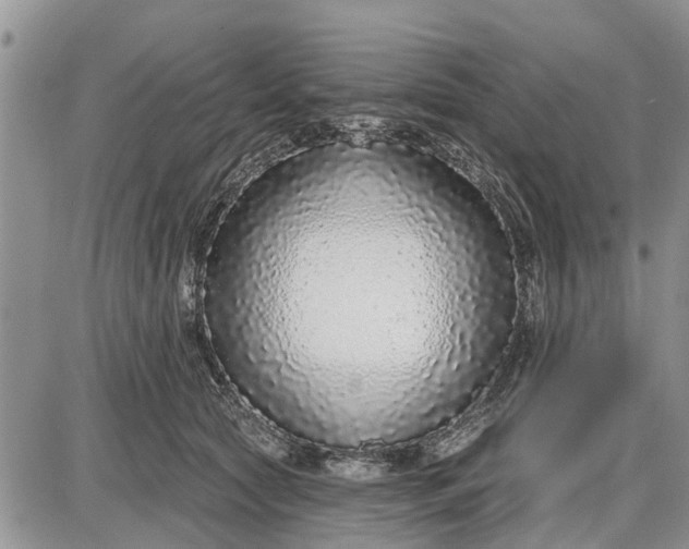 X0000085020561200703191144