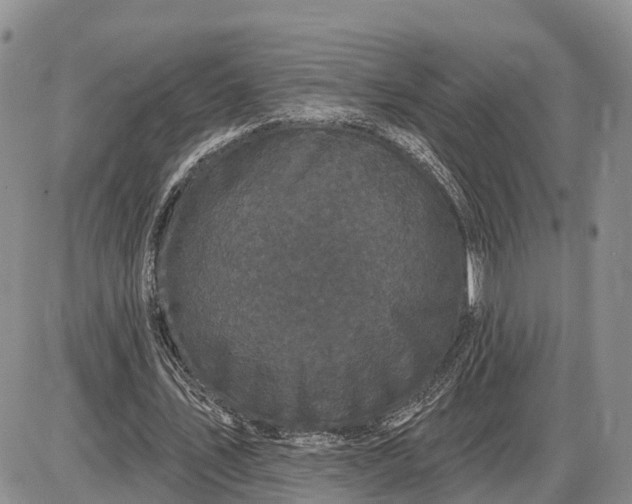 X0000085020579200703191144