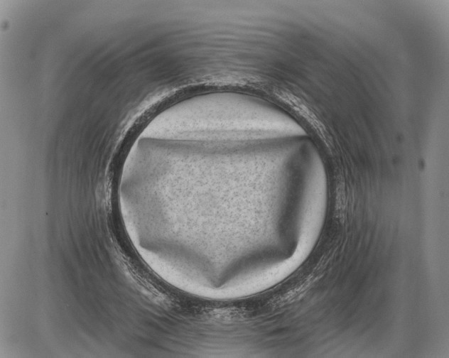 X0000085020584200703191144