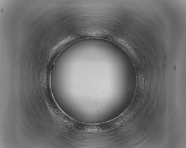 X0000085020587200703191143