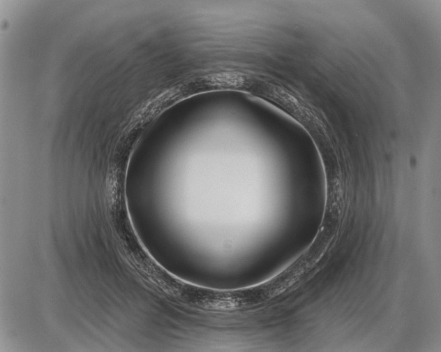 X0000085020600200703191143