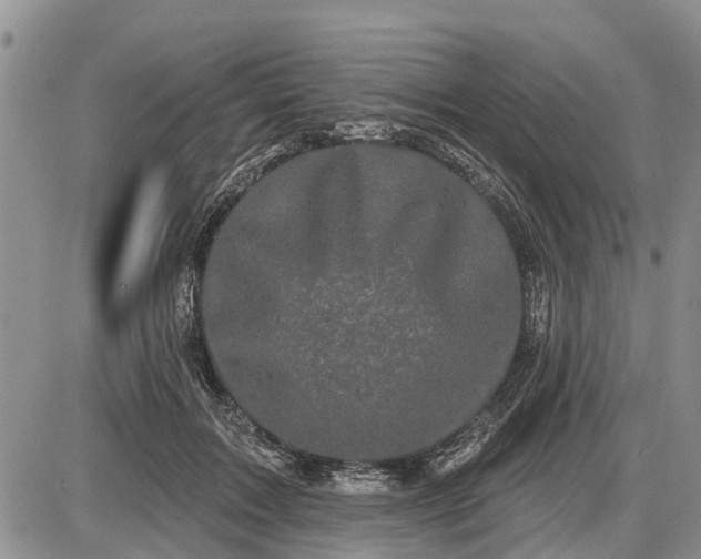 X0000085020603200703191143