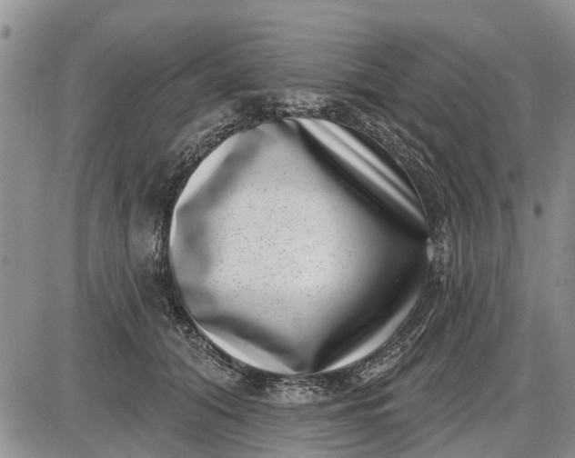 X0000085020608200703191143