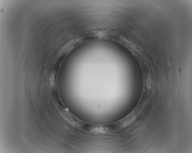 X0000085020611200703191143