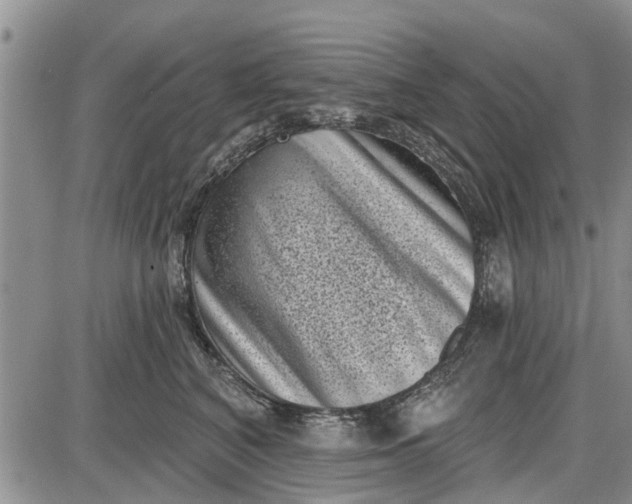 X0000085020616200703191143