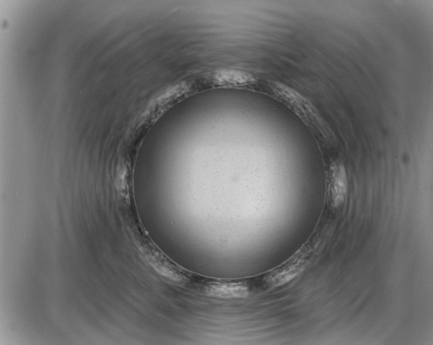 X0000085020619200703191143