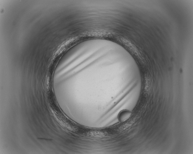 X0000085020636200703191142