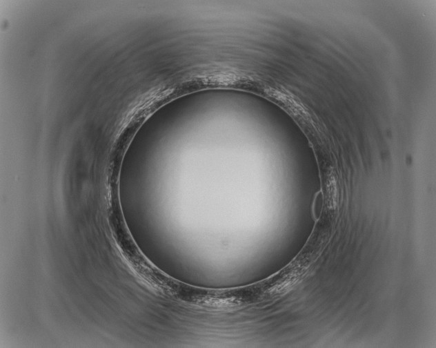 X0000085020638200703191142