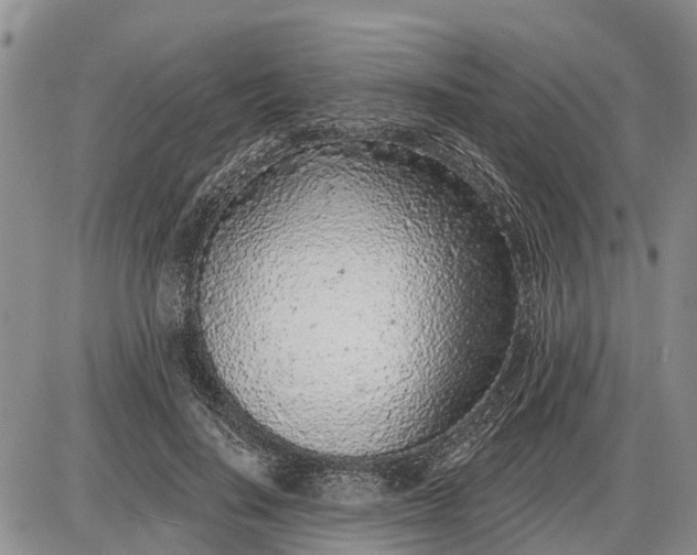 X0000085020644200703191142