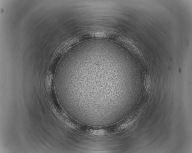 X0000085020645200703191142