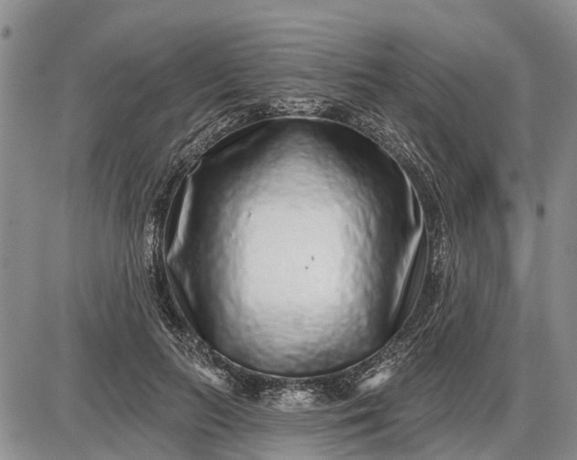 X0000085020647200703191142