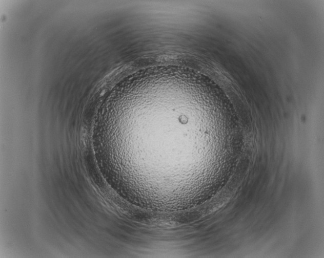 X0000085020648200703191142