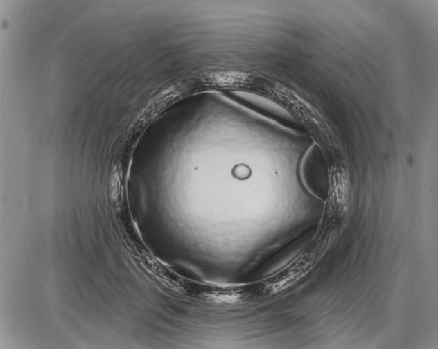 X0000085020651200703191142