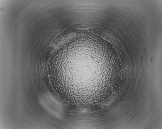 X0000085020654200703191143