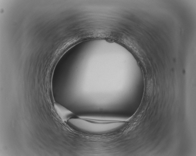 X0000085020673200703191142