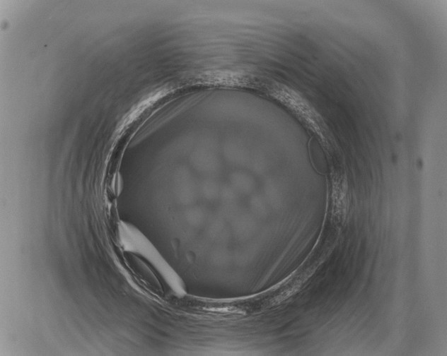 X0000085020674200703191142