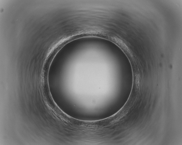 X0000085020676200703191142