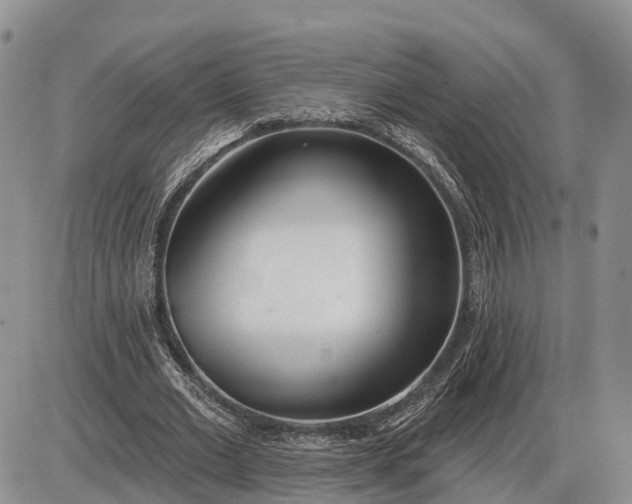 X0000085020677200703191142