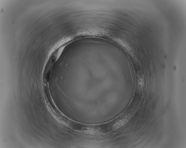 X0000085020678200703191142