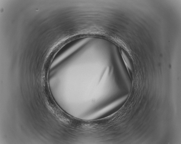 X0000085020680200703191142